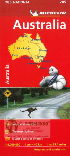 785_michelin.jpg