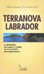 Terranova e labrador