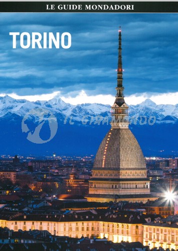 torino_peug.jpg