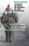Viaggio in India in groppa al mio elefante