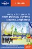 Ceco, polacco, slovacco, sloveno, ungherese 