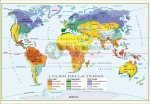 153- CARTA GEOGRAFICA DEI CLIMI NEL MONDO DA AULA SCOLASTICA cm 140x100