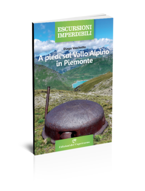 PIEDI_VALLO_ALPINO-PIEMONTE.png