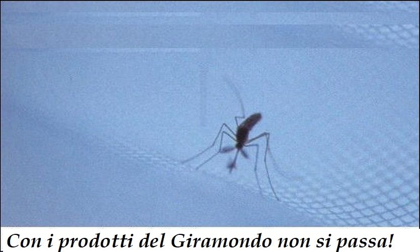 prodotti-il-giramondo.jpg