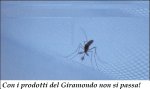 46-Con i prodotti del Giramondo  non si passa!